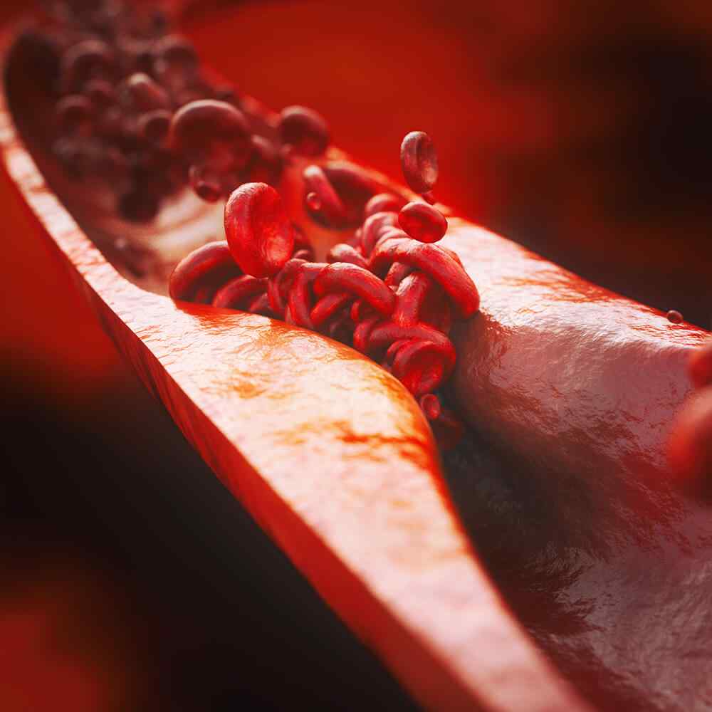 inner_image_01 https://tayfun.codeven.co/wp-content/uploads/2021/08/inner_image_01.jpg