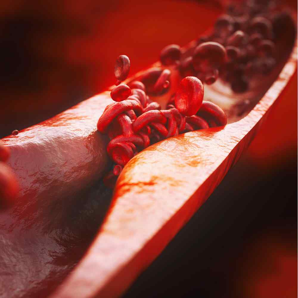 inner_image_04 https://tayfun.codeven.co/wp-content/uploads/2021/08/inner_image_04.jpg