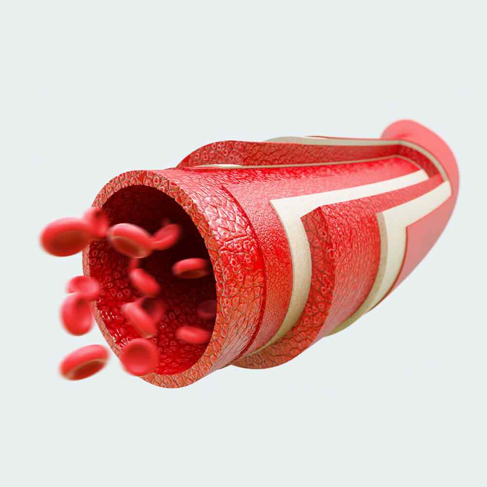 inner_image_07 https://tayfun.codeven.co/wp-content/uploads/2021/08/inner_image_07.jpg